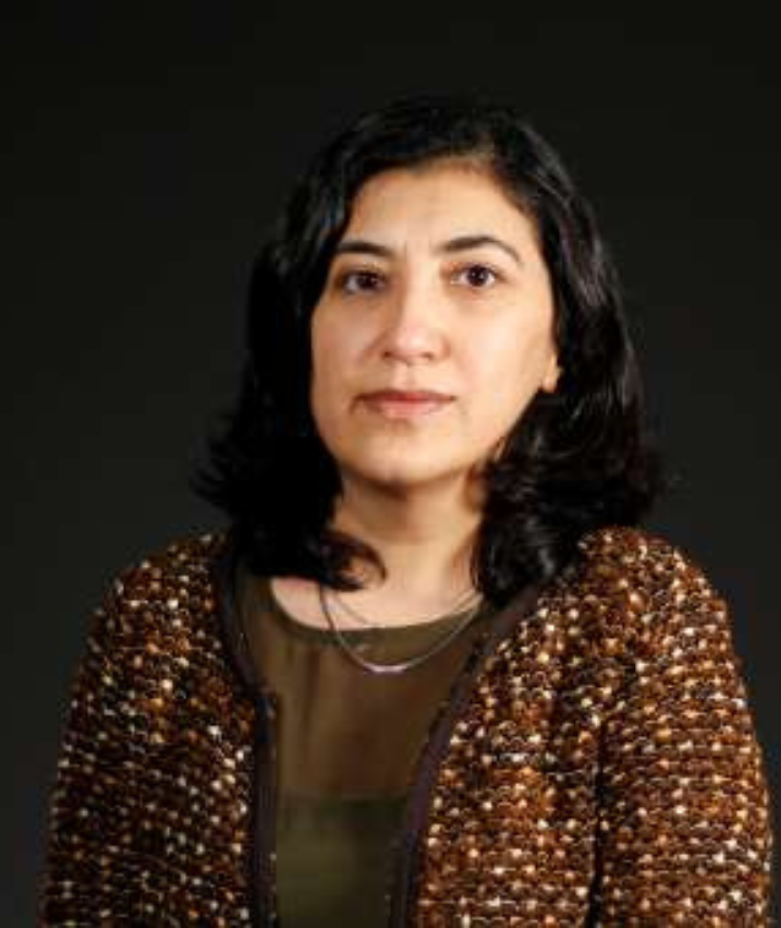 Gönül Şengül